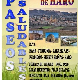 Paseo Saludable: Haro, Tondonia, Carabriñas, Perdigón, Haro